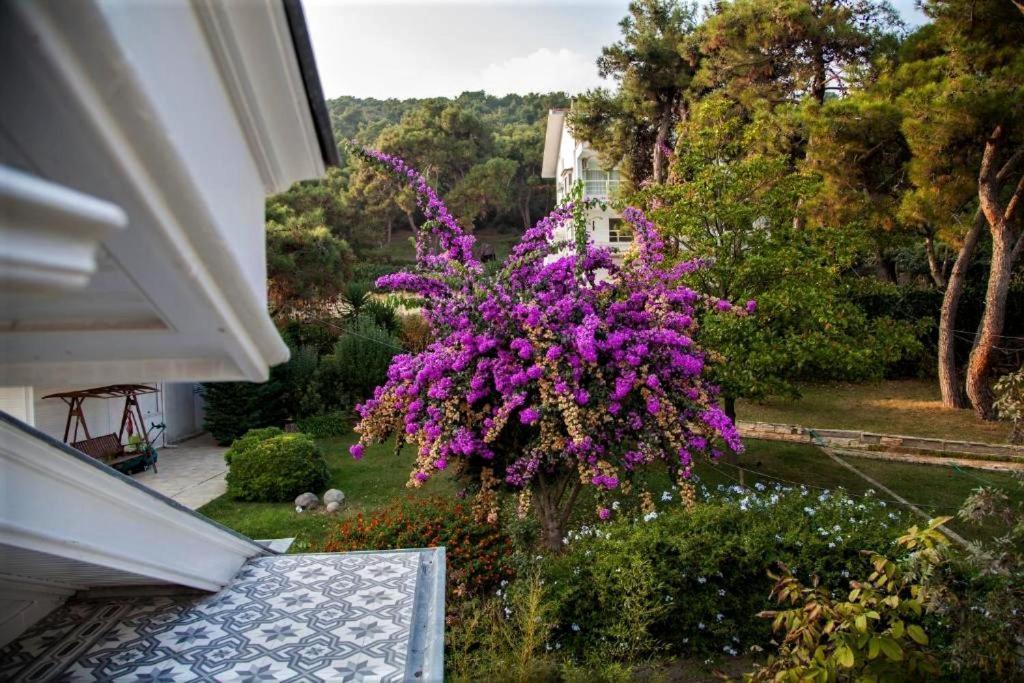 Triada Hotel Bueyuekada Adalar Kültér fotó